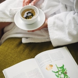 poilsis druskininkuose goda zoleles