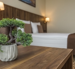 Gradiali Palanga mini liuksas 3