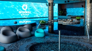 gradiali palanga baseinai 1