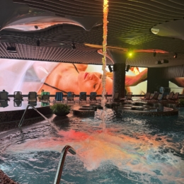 gradiali palanga baseinai 6