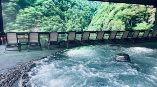 gradiali palanga baseinai 7