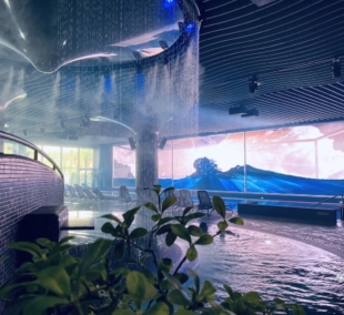 gradiali palanga baseinai 8