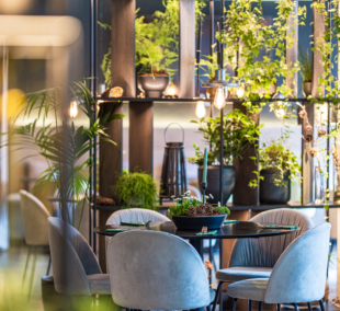 Restoranas gras, Žilvinas, Palanga 2