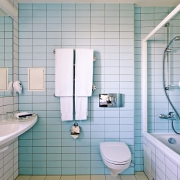 poilsis klaipedoje green park hotel vonia 12318