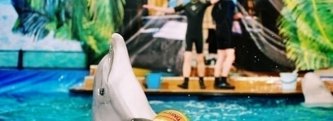 poilsis klaipedoje green park hotel linksmina 15345