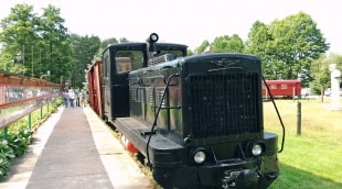 ka pamatyti druskininkuose gruo parkas aplinka 11325