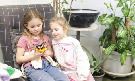 Gyvų drugelių paroda 111