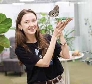 Gyvų drugelių paroda Vilniuje 8