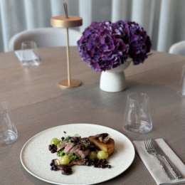 Harmony Birštonas restoranas 2