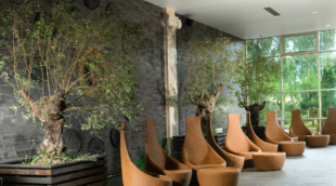 Harmony Park, baseinai 4