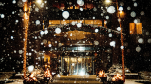 Harmony Park Naujieji metai 2024, aplinka