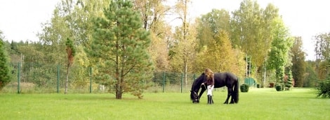 harmony park pramogos 4