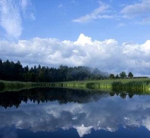 harmony park pramogos 2