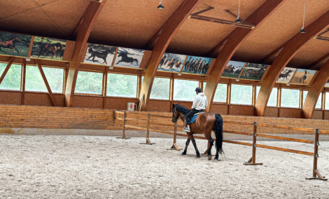 Harmony Park žirgai 3