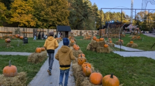 Helovinas Kalnų parke, Vilnius