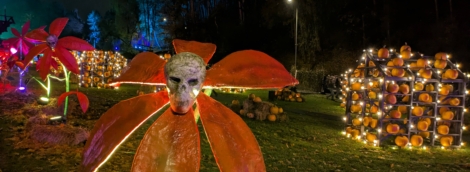 Helovynas Kalnų parke 2025