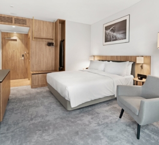 Hilton Vilnius   40   King    (1)