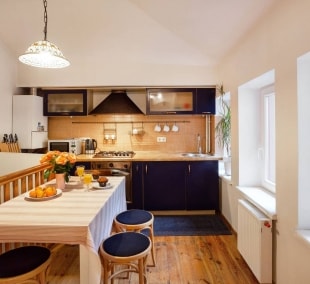 houseys vilnius blue 2