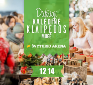 Didzioji kaledu muge posteris