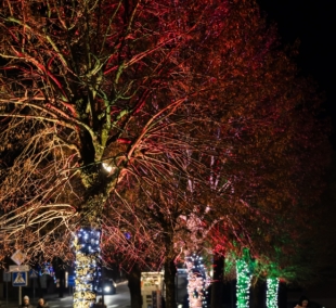 Kalėdos Molėtuose 2025 a