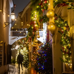 S. Žiūros nuotr (3)