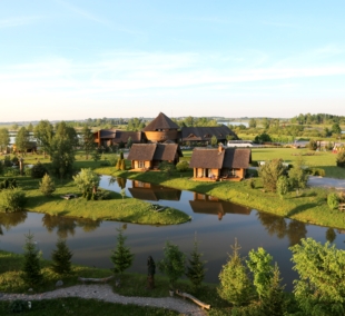 Karpynė aplinka