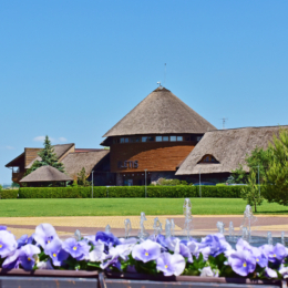 Karpynė, Klėtis 6