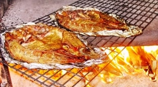 karpyne raseiniu rajonas paslaugos dviem 7