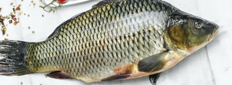 skrostas karpis