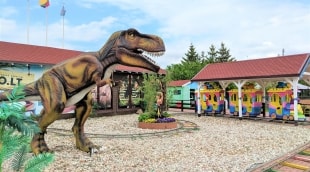 dino parkas 3