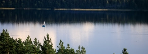 iStock 1171140173