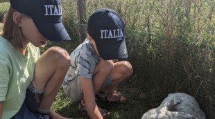 LABI parkas Anykščiai 16
