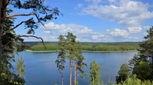 Ladakalnis