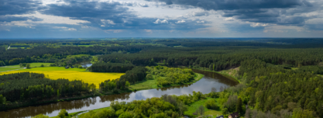 Minija, Šilutė