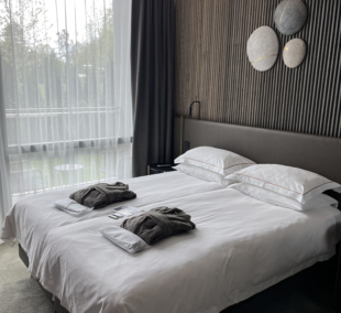 MANA Sleep&Spa Druskininkai kambarys dviem 4