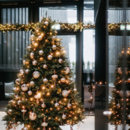 MANA, Druskininkai, Kaledos 3