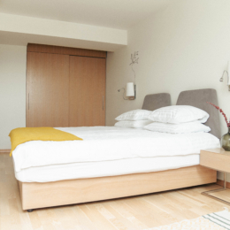 MANA Suites & Sea Palangoje, liukso apartamentai 2