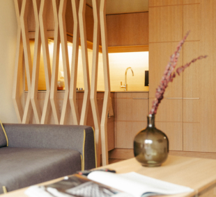 MANA Suites & Sea Palangoje, liukso apartamentai 6