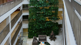 MANA Suites & Sea Palangoje