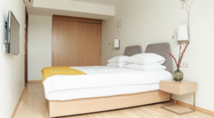 MANA Suites & Sea Palangoje, liukso apartamentai 2