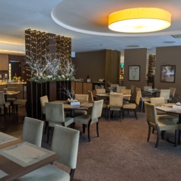 Margis, Trakai, žiemą