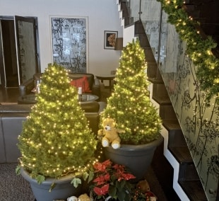 Margis žiemą 2