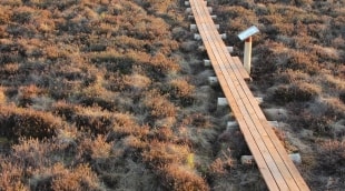 Amalvos pažintinis takas Robertas Rudžionis (1)