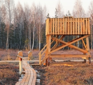 Amalvos pažintinis takas Robertas Rudžionis (2)
