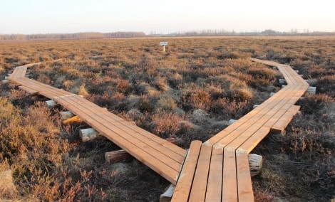 Amalvos pažintinis takas Robertas Rudžionis (3)