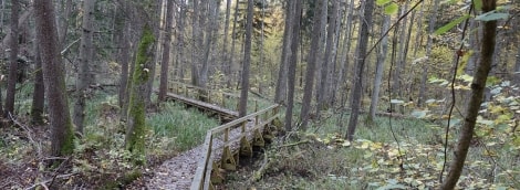 Buktos takas Žuvinto (1)