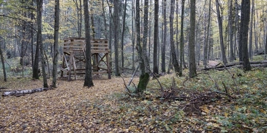 Buktos takas Žuvinto (2)