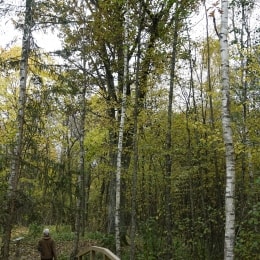 Buktos takas Žuvinto (3)