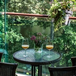 poilsis druskininkuose medea spa zalia