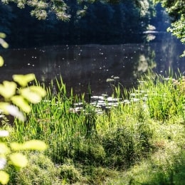 poilsis druskininkuose medea spa vaizdas 13939